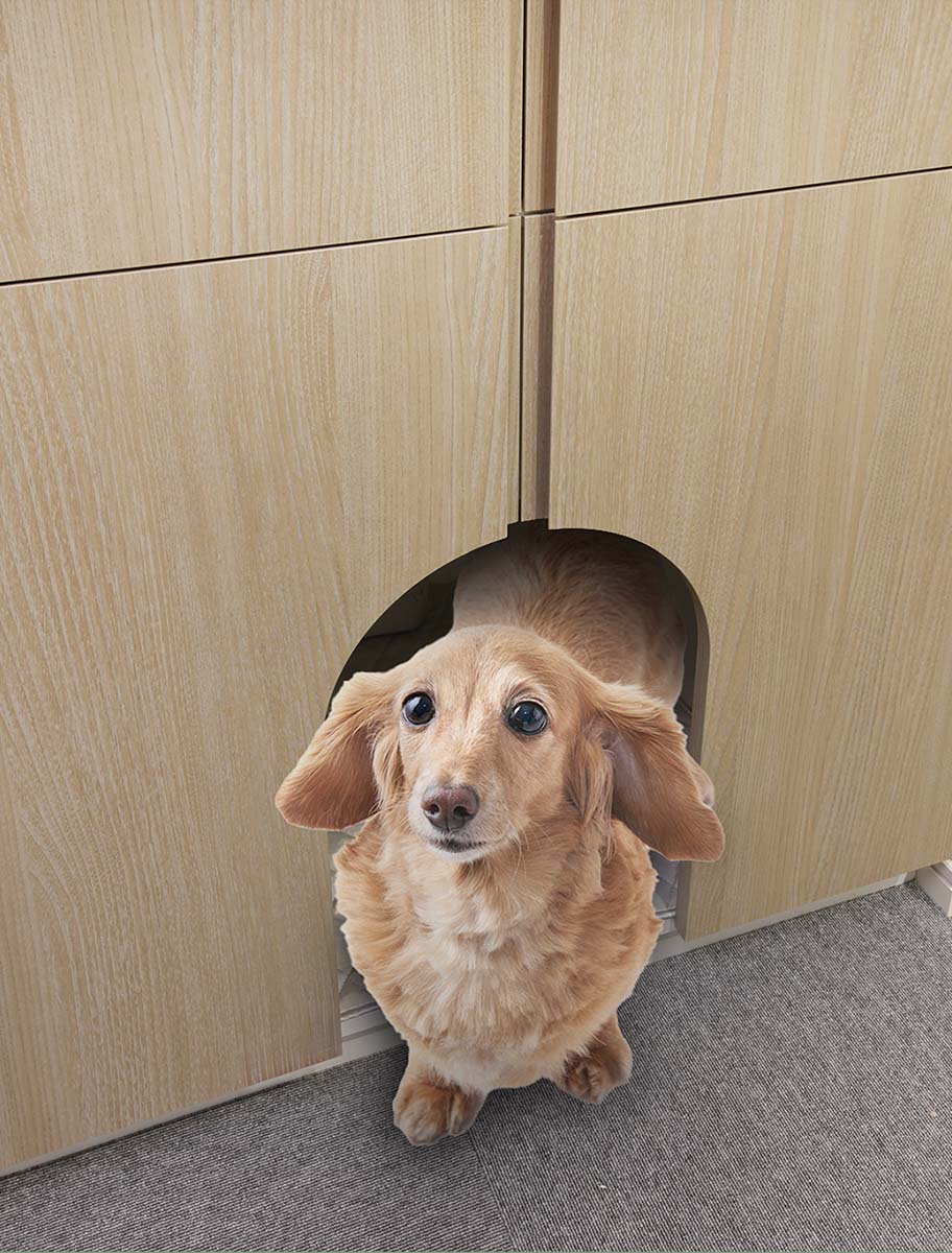 WNFD（わんにゃんフリードア）