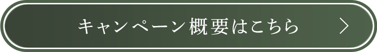 キャンペーン概要はこちら